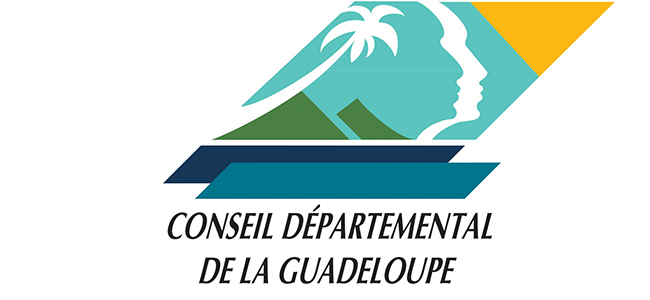 Conseil Departemental
